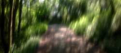 Photo 05-06-2016 10 28 21 (1)