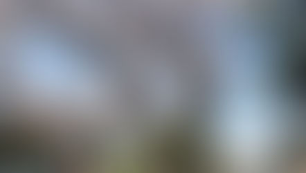 卒業生が来てくれた