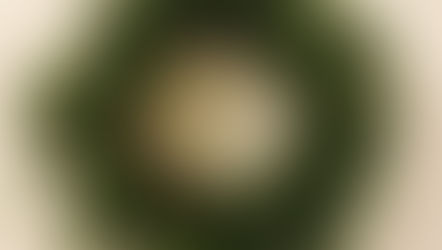 入試には出ないけど、2学期定期テストに出る、という現象・・・