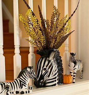 zebra_edited_edited.jpg