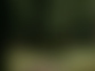 The Furrow and the Fire