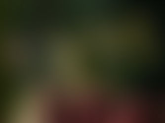 Virtue in the Postmodern World