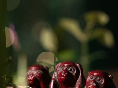 Virtue in the Postmodern World