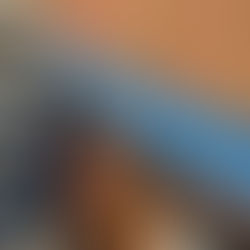 Neatly organized structured cabling panel with labeled Cat6 and fiber optic lines in a multi-family utility room