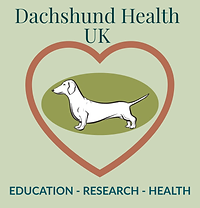 Pra clear best sale dachshunds