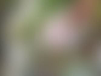 良質の眠りが美肌を作るはなし