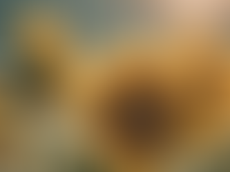 Empowering Youth and Families Through Mental Health Support