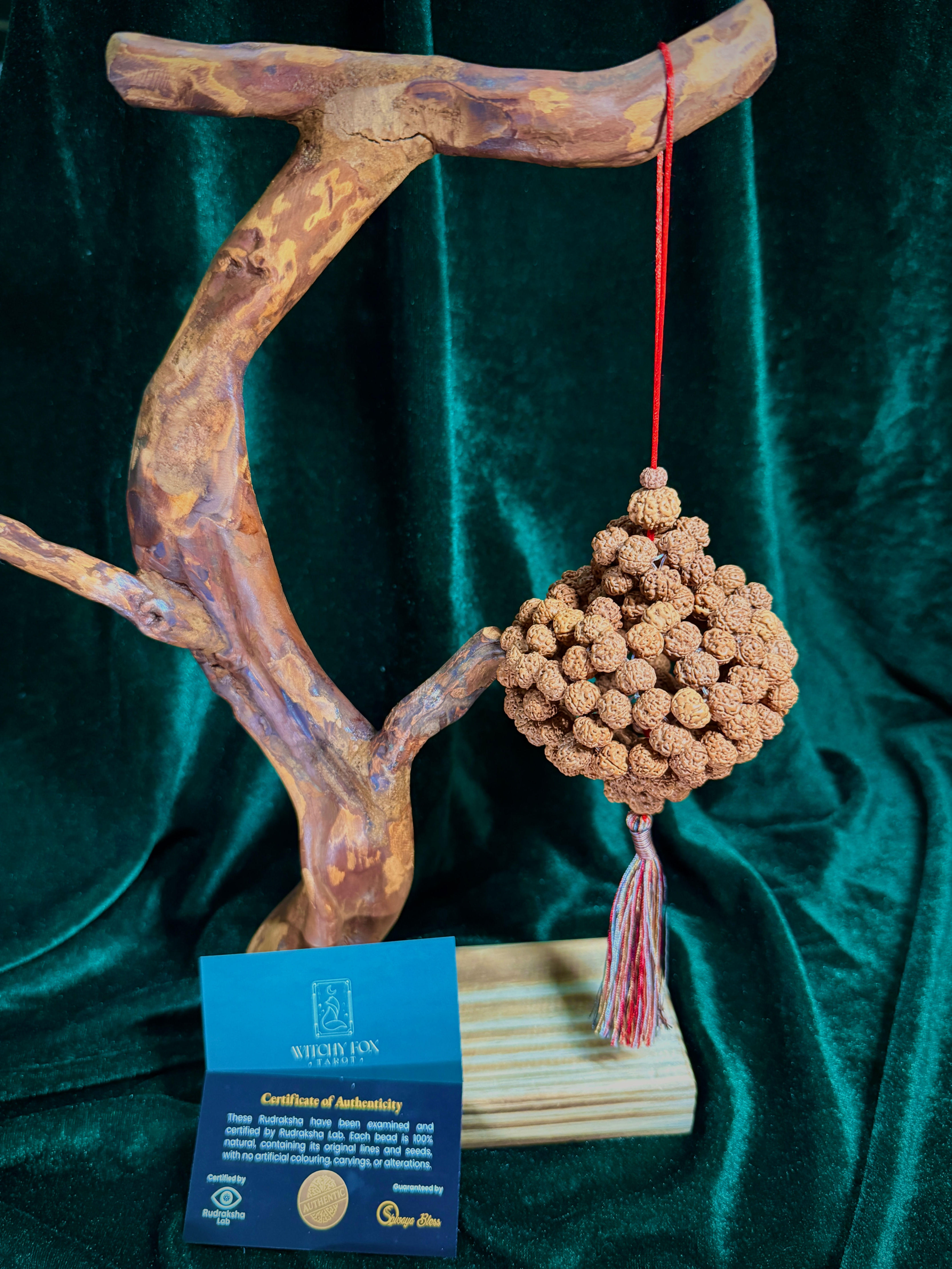5 Mukhi Rudraksha Lantern