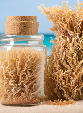 sea moss products.jpg
