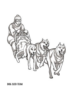 colouring dog team 1