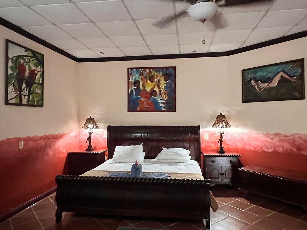 Kinkajou Studio Apartment with a king size bed and orignal artwork on the walls