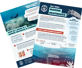 Nov Board Meeting - Comms Requests (4).png