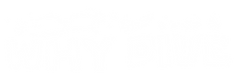 Why-Dive-02-Wide-Reverse.png