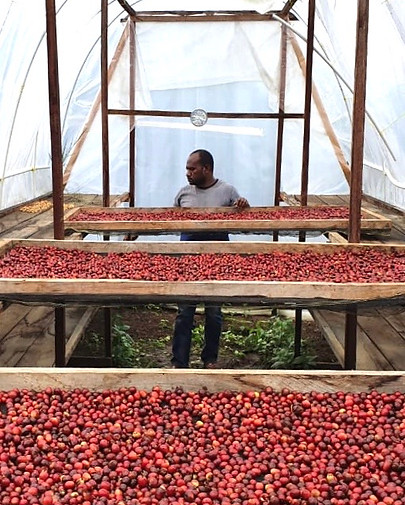 WhatsApp Image 2020-07-31 at 4.06.06 PM.