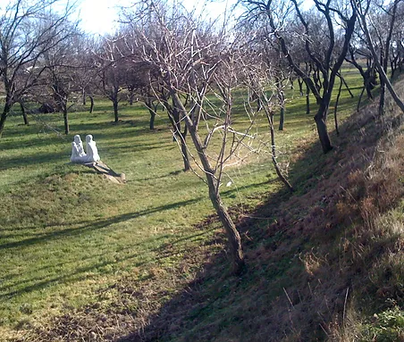 Garten_JPG.webp