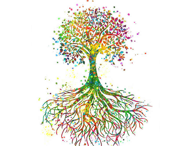 Die-Baum-Des-Lebens TRANSPARENT.webp
