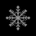 snowflake_edited.jpg