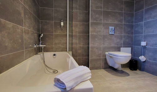 Salle de bain Chambre double privilège.jpg