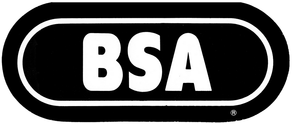 BSA WRIF Sticker 