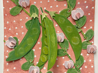 Sweet Pea