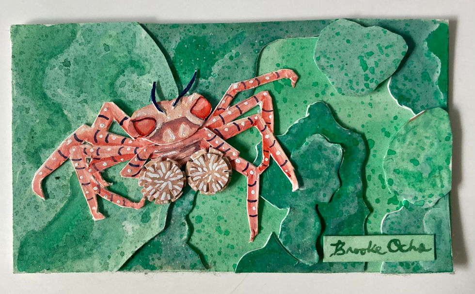 Gouache Collage of a light vermillion Pom Pom Crab on a craggy, rocky mint green background