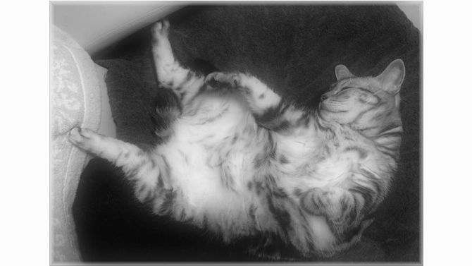 こんに身近に・・・