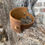 Thumbnail: Shotgun Shell Cuff