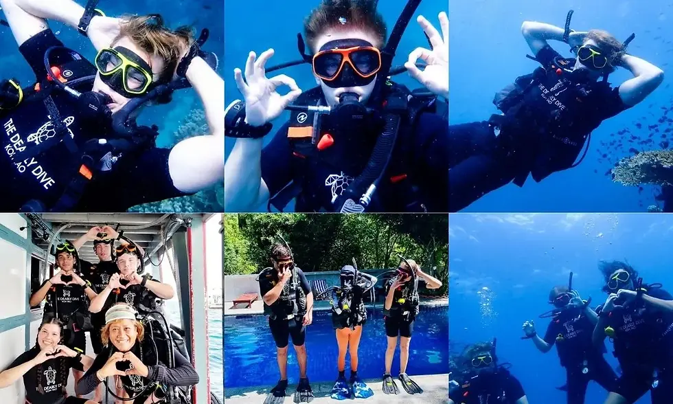 เรียนดำน้ำ กับ The Dearly Dive แล้วพักที่ The Dearly Koh Tao Hostel ดีอย่างไร