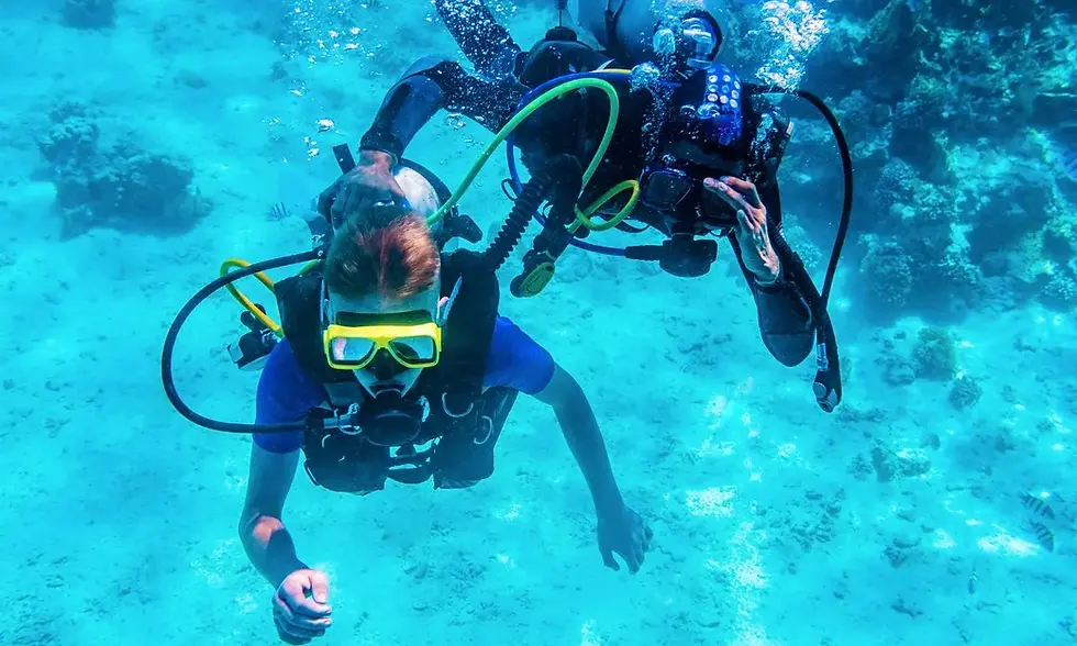 Master PADI Diving in Koh Tao: The Ultimate Guide from Beginner to Pro
