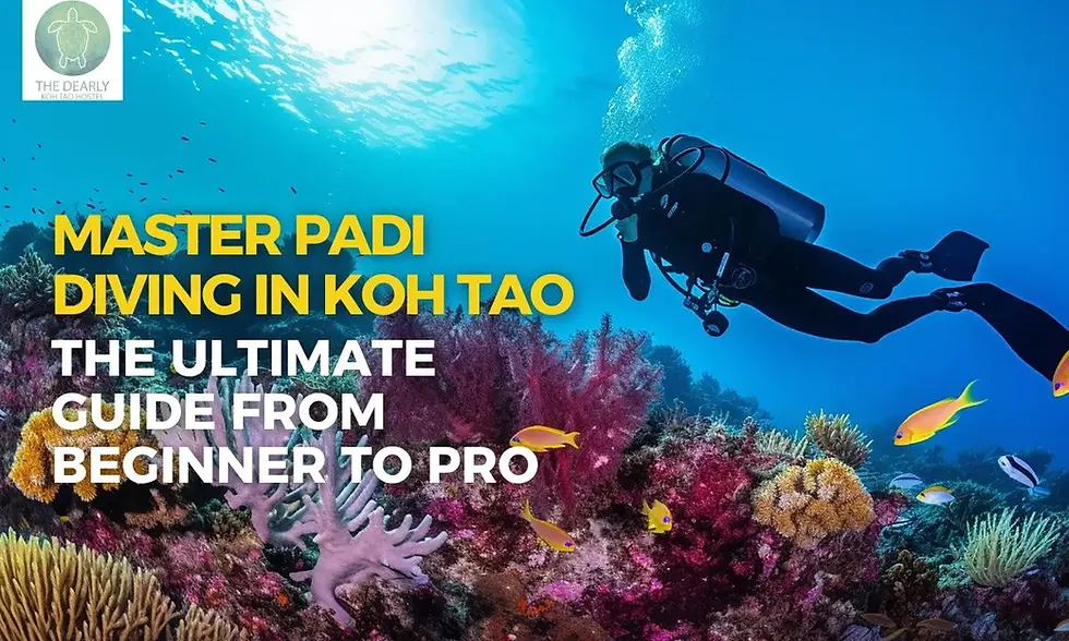 Master PADI Diving in Koh Tao: The Ultimate Guide from Beginner to Pro