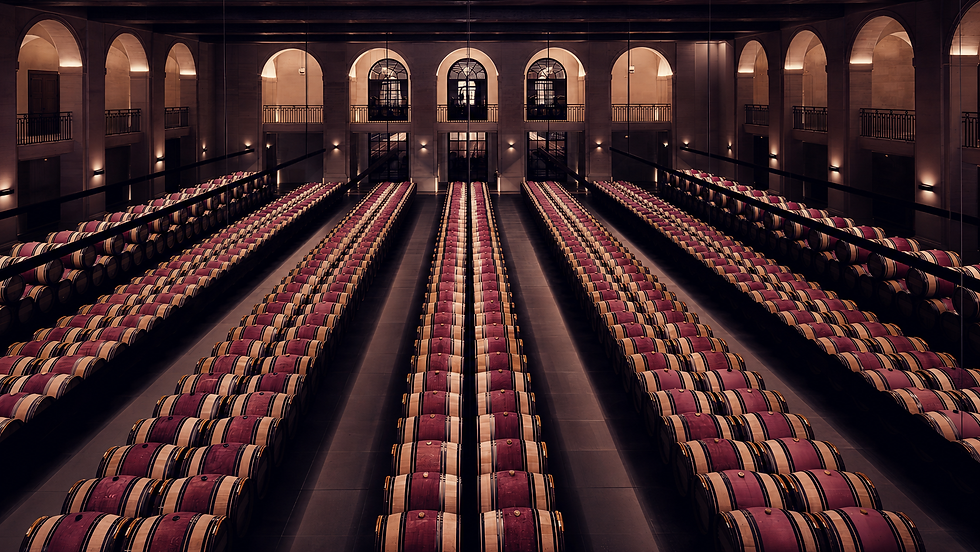 Château Montrose Cellar