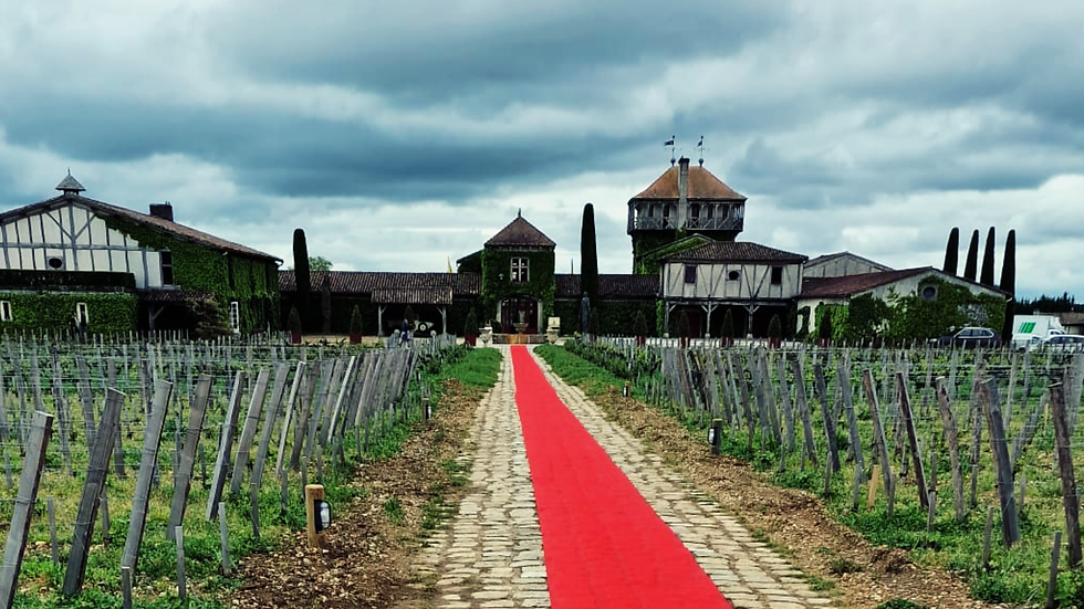 Domaine de Chevalier