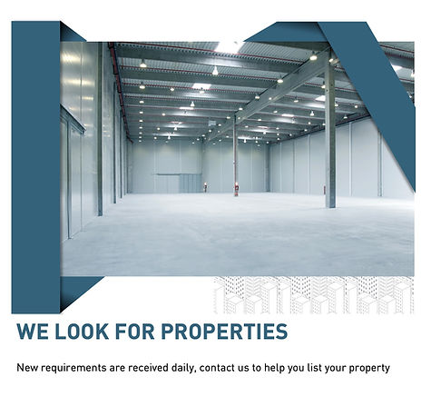 welookfor prop (2).jpeg