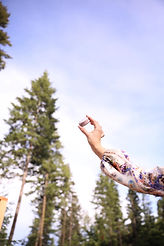 Wedding Desserts at The Cabins at Blacktail