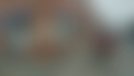 Craft Activities in partnership with Restore.