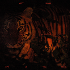 23-1-16-Tiger_4a_1200px.png