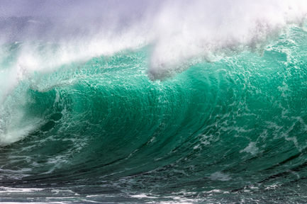 Majestic beauty in a dynamic fluid moment