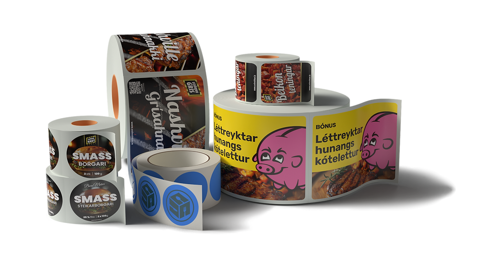 stickers-Camera 2.png