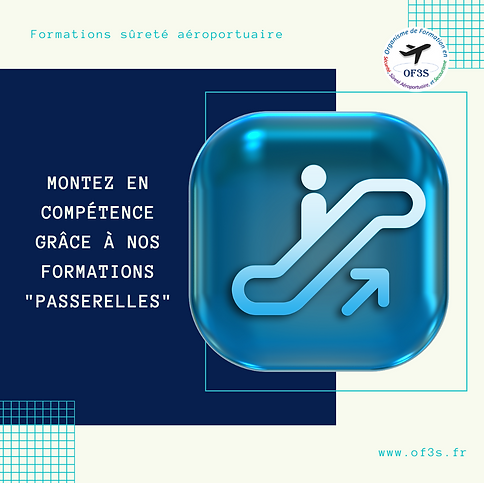 Passerelles sûreté.png
