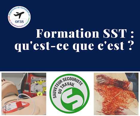 SST _ qu'est-ce que c'est _.png
