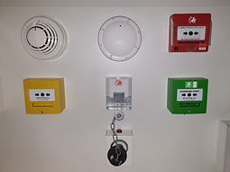 20200210_100346.jpg