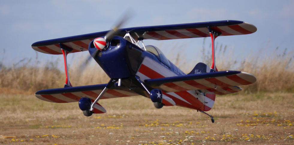 Pitts