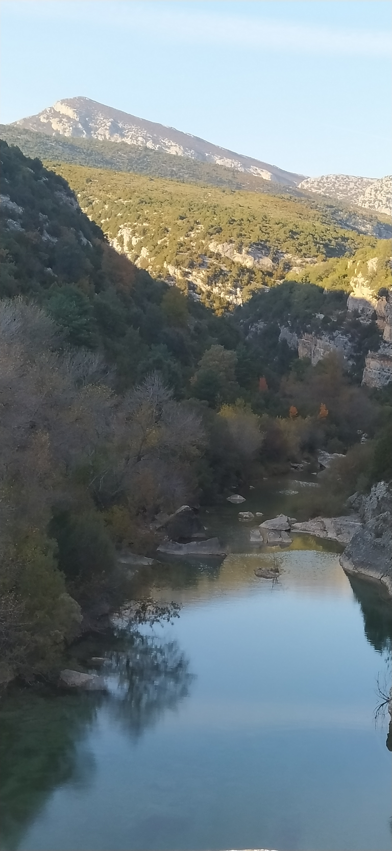 Image00005