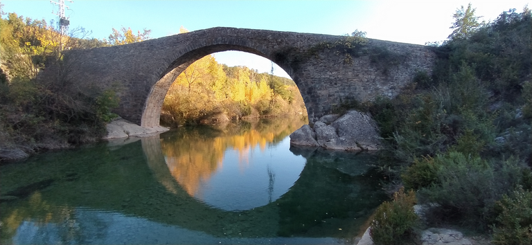 Image00009