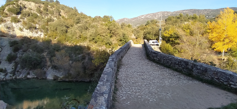 Image00007