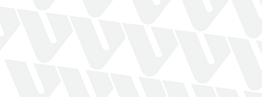 v-bacground2.png