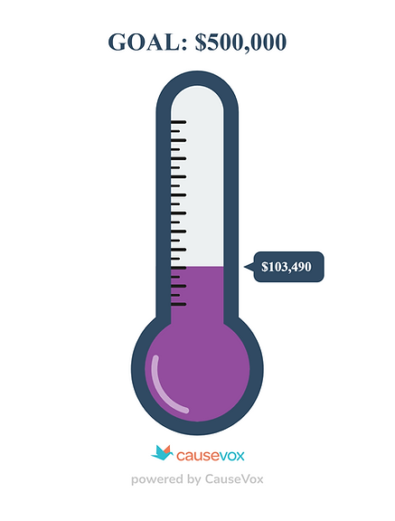 thermometer (15).png