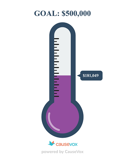 thermometer (4).png