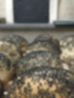 Panes de Hamburguesas