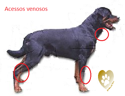 VOCÊ SABIA???